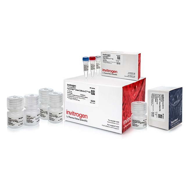100RXN FAST SYBR, GREEN CELLS-TO-CT KIT